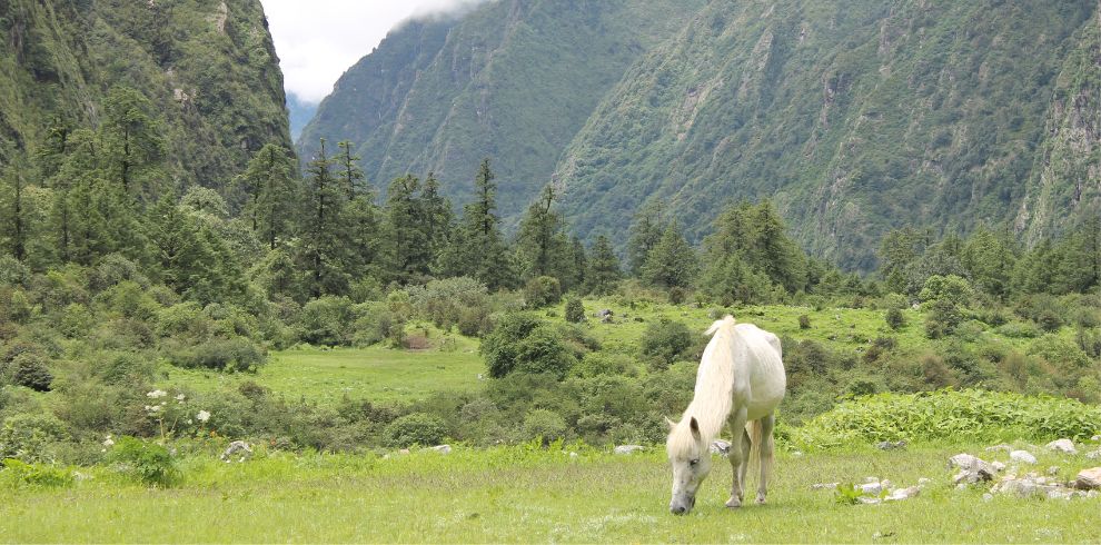 Langtang Valley Trek