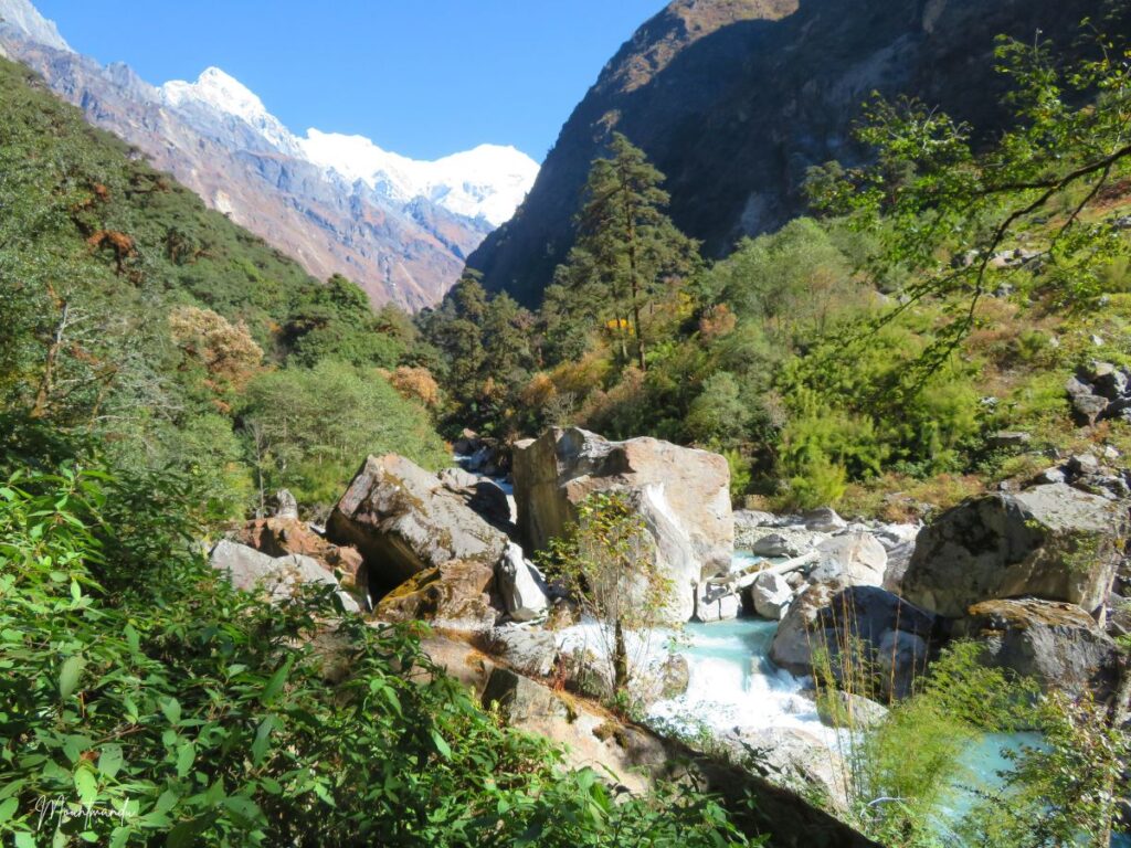 Trekking through forest of Langtang Region