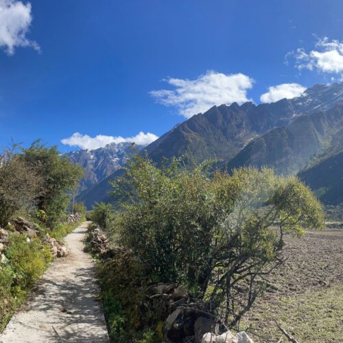 Tsum Valley Trek trail